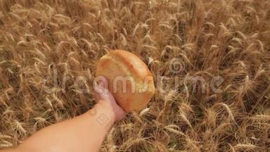 人在<strong>麦田</strong>里捧着一个金色的面包.. 慢动作<strong>视频</strong>。 小麦领域的成功农学家。 生活方式