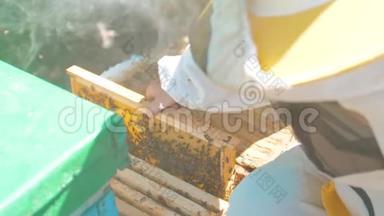 养蜂人抱着一种充满蜜蜂的蜂巢生活方式。 养蜂人在养蜂场检查蜂窝框架。 养蜂概念