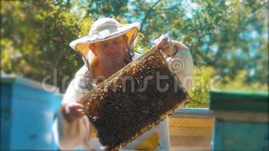 养蜂人手里拿着满是蜜蜂的蜂窝。 养蜂人在养蜂场检查蜂窝框架。 养蜂生活方式概念