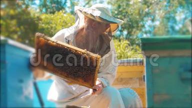 养蜂人手里拿着满是蜜蜂的蜂窝。 养蜂人在养蜂场检查蜂窝框架。 养蜂概念慢