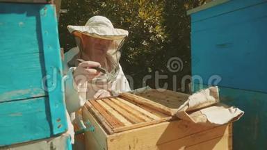 养蜂人在<strong>蜂群</strong>生活方式中工作的<strong>蜂群</strong>多彩蜂窝慢动作视频。 蜜蜂制造者