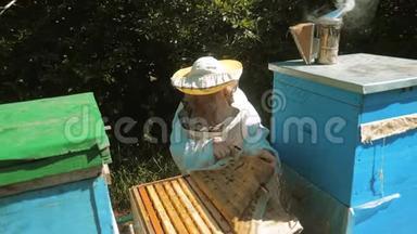 养蜂人在蜂群里工作的蜂群飞行多彩蜂窝慢动作视频。 生活方式蜜蜂制造者