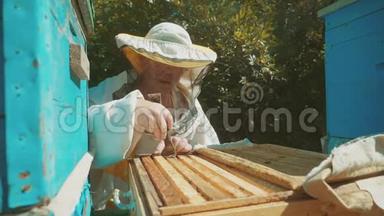 养蜂人在蜂群里工作的蜂群飞行多彩蜂窝慢动作视频。 养蜂人