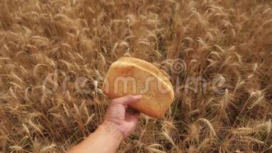 人在<strong>麦田</strong>里捧着一个金色的面包.. 慢动作<strong>视频</strong>。 小麦领域的成功农学家。 收获时间