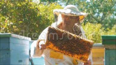养蜂人手里拿着满是蜜蜂的蜂窝。 养蜂人在养蜂场检查蜂窝框架。 养蜂概念慢