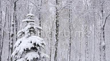 冬天在森林里<strong>下雪</strong>，<strong>下雪</strong>的圣诞节早晨<strong>下雪</strong>了
