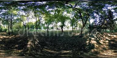 城市公园休闲区的UHD4K360VR虚拟现实。 秋天或夏天的<strong>树木</strong>和<strong>绿草</strong>
