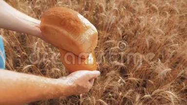 老农夫贝克抱着金色的面包生活方式，在蓝天映衬下在<strong>麦田</strong>里吃面包。慢动作<strong>视频</strong>