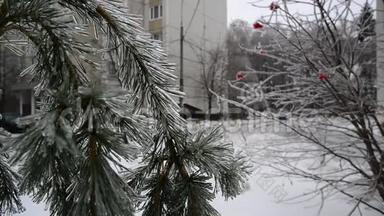俄罗斯莫斯科冰雪覆盖的树木