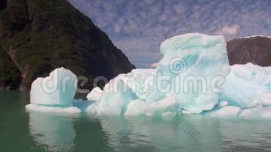 阿拉斯加山水太平洋背景下移动浮冰。