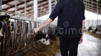 奶牛场里有奶牛的人或农民