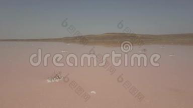 以粉红色浮游生物色观赏盐湖水蒸发池