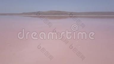 以粉红色浮游生物色观赏盐湖水蒸发池