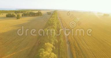 超高清4K鸟瞰图.. 绿色和黄色麦田和树木线的低空飞行