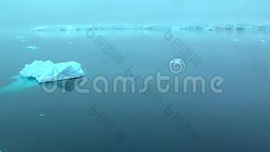 南极洲的浮冰