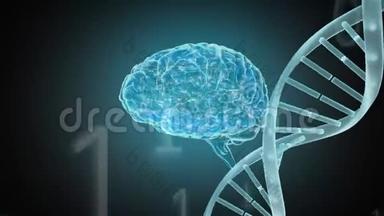大脑和<strong>DNA螺旋</strong>的数字动画