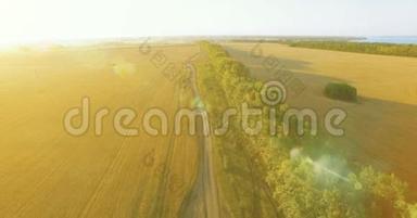 超<strong>高清</strong>4K鸟瞰图.. 绿色和黄色麦田和树木线的低空飞行