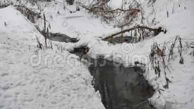 小河在林中自然冬日流水，小河在雪景中