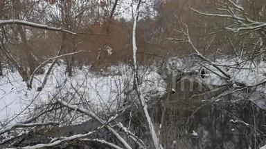 小河在林中自然冬流水，山水小河在雪中