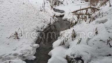 小溪在树林里冬天流淌着大自然的水，<strong>小河</strong>在雪地里流淌着<strong>风景</strong>