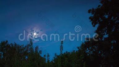 夜晚的月亮在地平线上升起，树木在地平线上升起