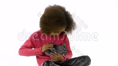 小非洲卷曲的女孩抱着灰色的下巴，抚摸着白色的背景。 慢动作