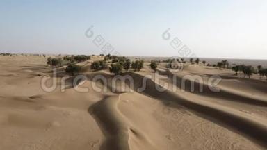 阿曼苏丹国赫马沙漠、树木、旱地和红沙丘的无人机的惊人快照