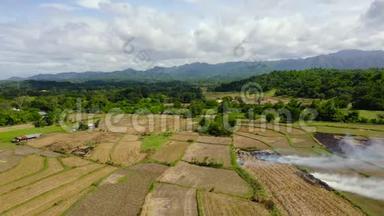 农民焚烧秸秆<strong>耕种</strong>稻田.. 景观与农业领域，顶部景观。 卢松，菲律宾。