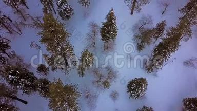 空中，自上而下，在雪树<strong>上升</strong>起，混合森林，在高山<strong>上升</strong>起