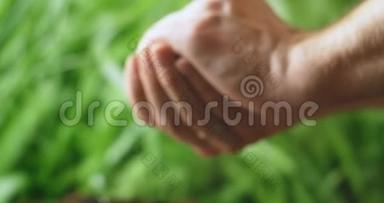 用绿色背景上的绿树树苗张开你的手。