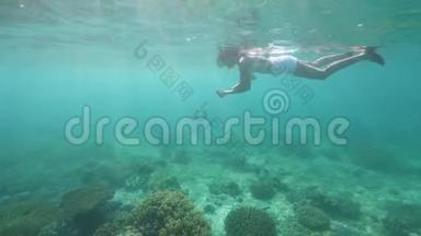 年轻女子在浮潜时用面具和管状水下视野拍照。 女孩浮潜和拍照