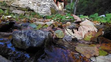 一条小溪冲破石头和落叶