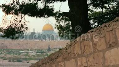 在五彩缤纷的日落中，透过一棵树俯瞰耶路撒冷古城和圣殿山的全景