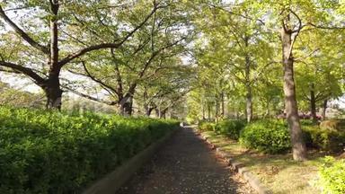 日本东京的SarueOnshi公园