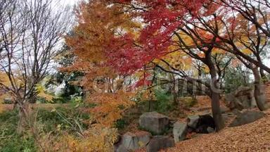 日本东京的SarueOnshi公园