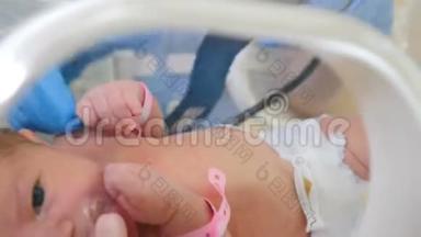 新生儿在孵化器，重症医院治疗：CCU，ICU，电联.. 戴着蓝手套的医生握着婴儿的小手