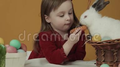 那个女孩在玩和抚摸一只兔子。 复活节的主题。 假日