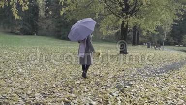 秋天美丽的树叶。 一个带着紫罗兰伞和围巾的年轻女人慢慢地走进秋天的公园。 美丽美丽