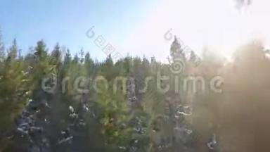一个<strong>视频</strong>中有2个。 鸟瞰周围的云杉和<strong>雪景</strong>。 在树之间是放松的凉亭。 FPV