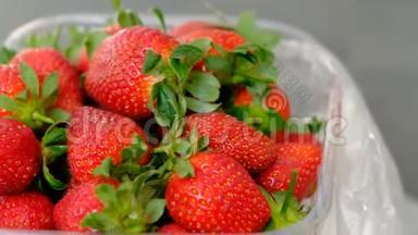 将新鲜草莓装在360度旋转支架上
