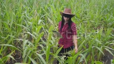 智慧<strong>生态农业</strong>养殖理念.. 农民女孩植物研究员一个用途，触摸平板电脑，同时检查生活方式