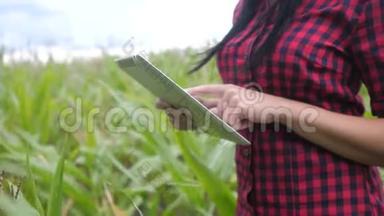 智慧生态农业养殖理念.. 生活方式农民女孩植物研究员使用和触摸平板电脑，同时检查