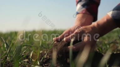 农夫手里拿着一堆泥土。 生态农业地面农业概念。 男工：冬青