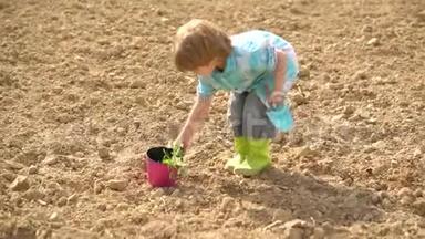 小男孩在阳光明媚的一天在花园里吃蔬菜。 幼儿时代。 花园工具。 农业和农业种植
