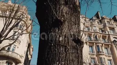 在阳光明媚的秋天早晨巴黎，电影院沿着树木、古老的公寓楼向左移动，揭示了史诗般的埃菲尔铁塔。