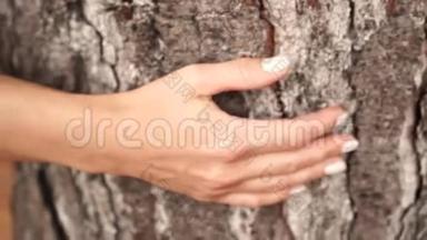 女孩抚摸一棵<strong>古树</strong>的树皮