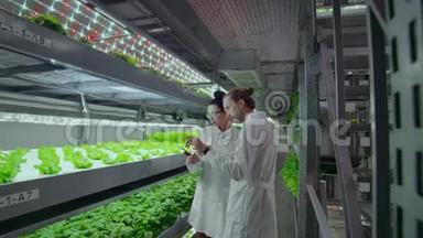 一组现代<strong>科学家</strong>生物技术<strong>科学家</strong>，穿着白色西装，用于加工有机水培蔬菜