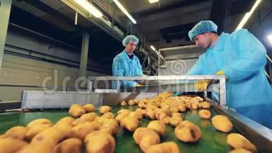农业工人正在工厂里切土豆