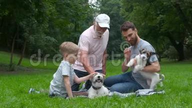 祖父、<strong>父子</strong>和两只狗杰克鲁塞尔猎犬躺在夏天<strong>公园</strong>的绿草上。 家庭