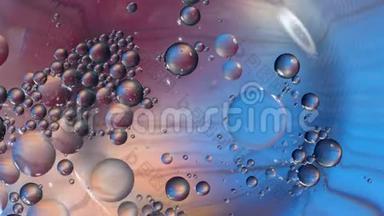 水表面的气泡，其环境中微观生命的概念，淋巴，细胞
